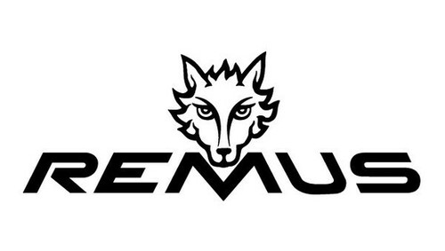 Remus sportauspuff - remus,